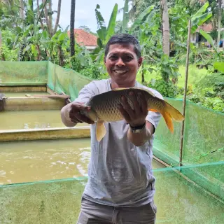 Rusmaya